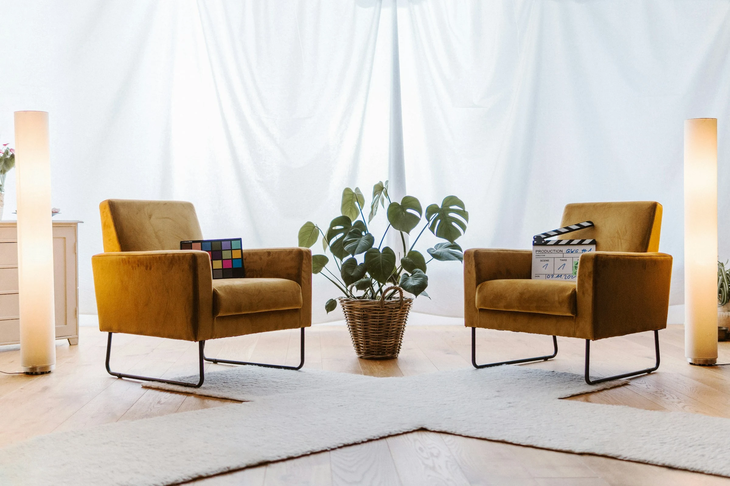 Two yellow armchairs with monstera plant in bright studio