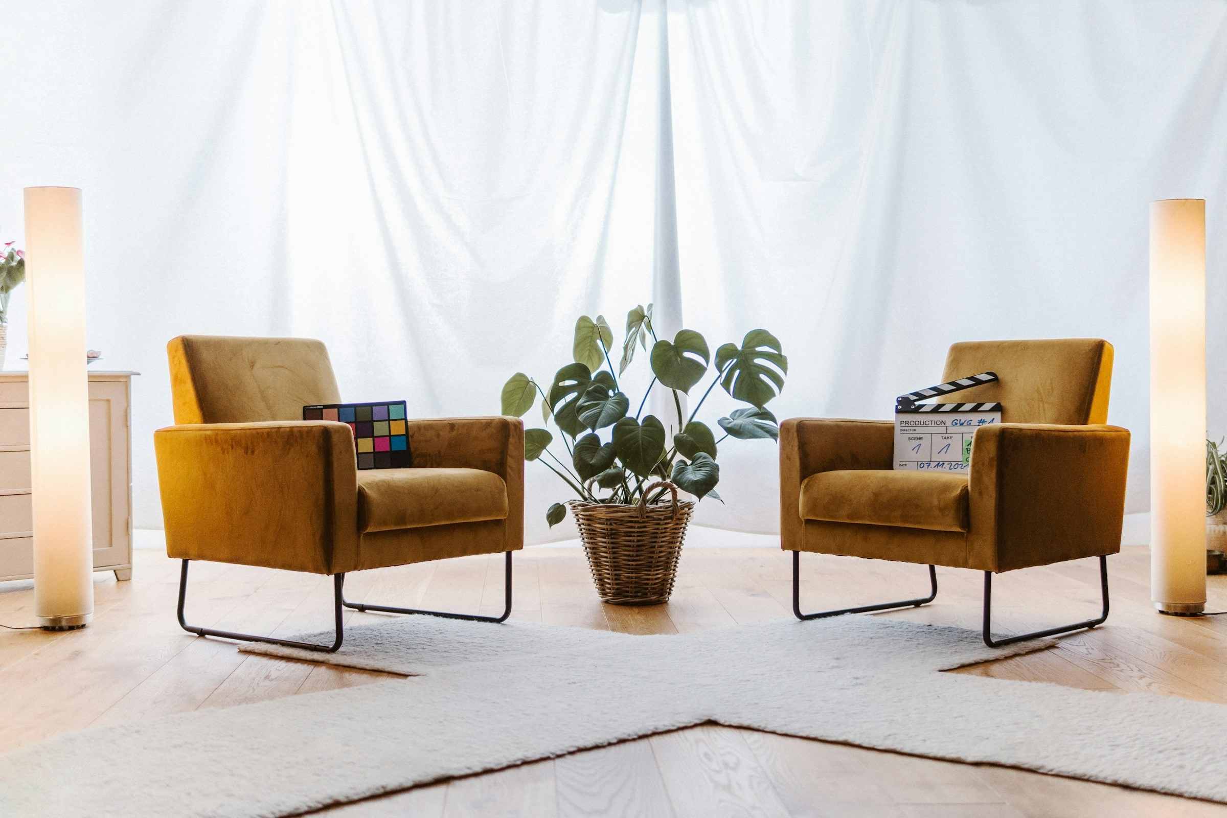 Two yellow armchairs with monstera plant in bright studio